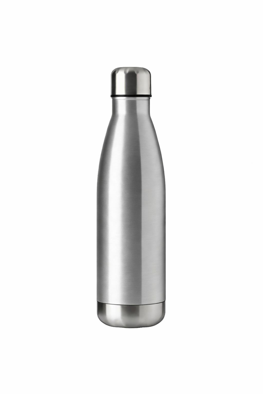 Insulated Bottle (17oz)