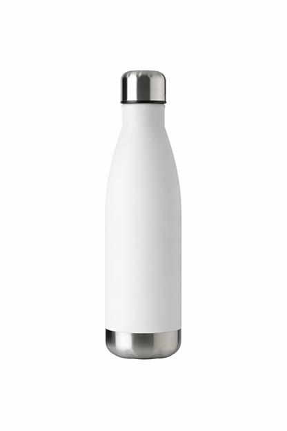 Insulated Bottle (17oz)